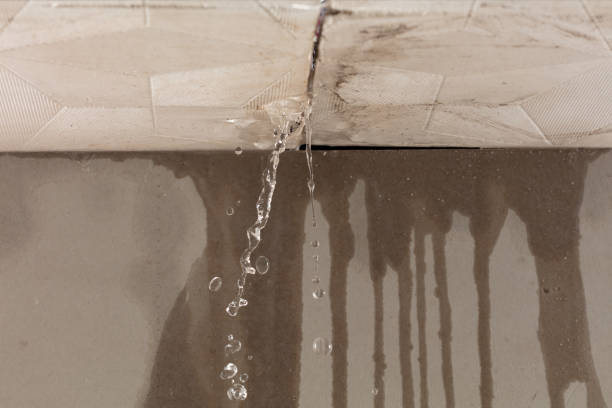 Professional Structural Drying technician working in Essexville, MI